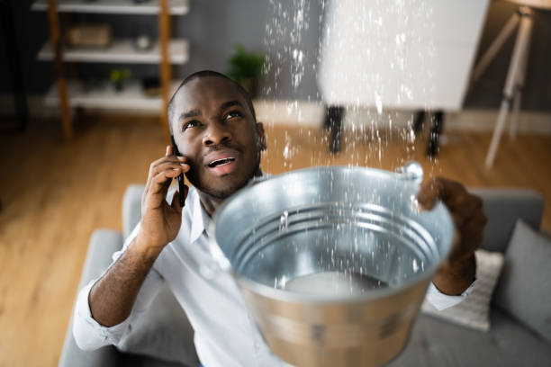 Best Local water damage restoration  in Weigelstown, PA