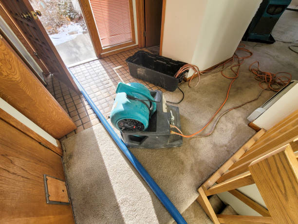 Best Residential water damage restoration  in Weigelstown, PA