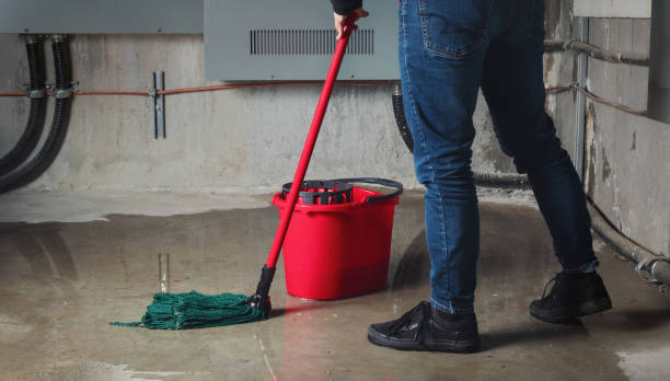 Best Ceiling water damage repair  in Weigelstown, PA